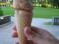 Mirabellen-Eis - Rezept