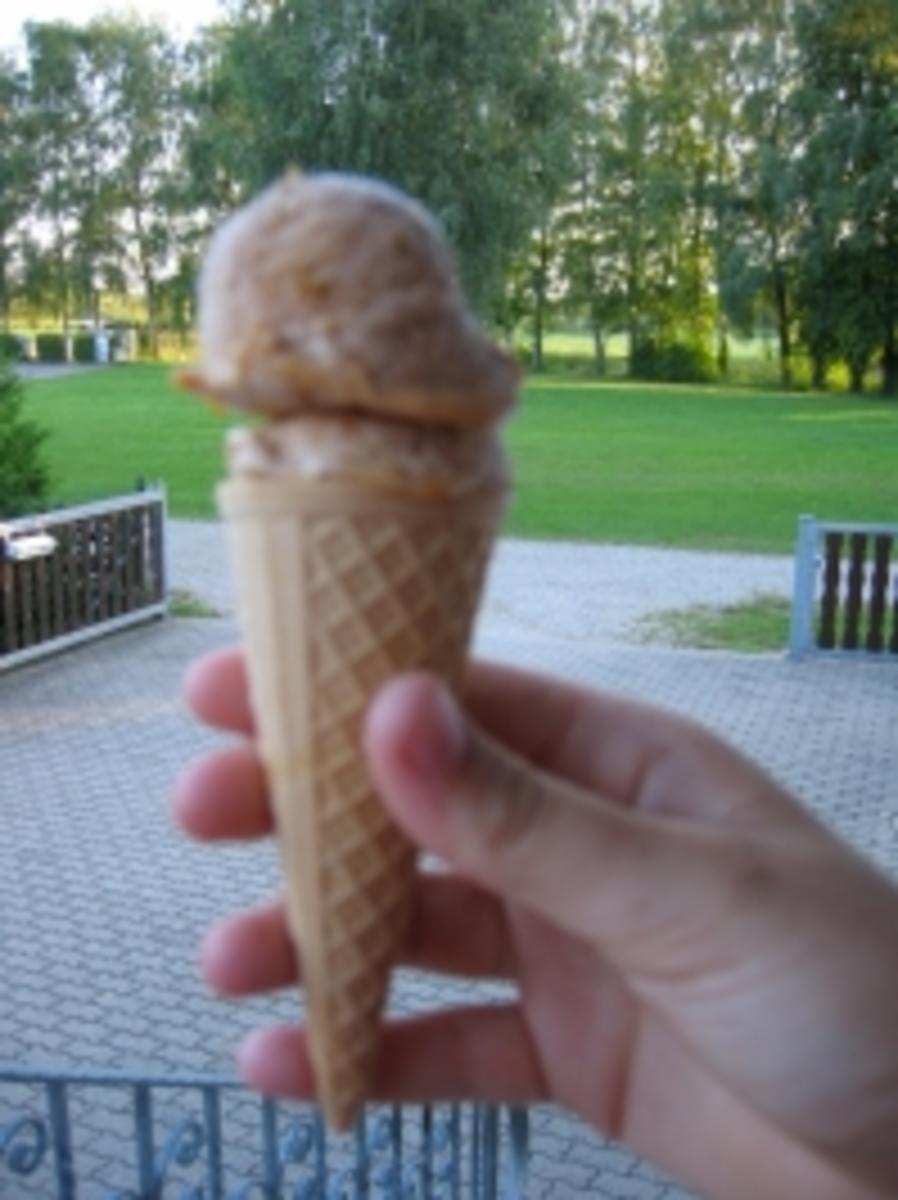Mirabellen-Eis - Rezept mit Bild - kochbar.de
