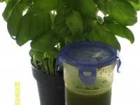 Rezept: Sonstiges: Basilikumöl Sonstiges: Basilikumöl - Rezept