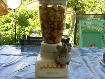 Rezept: Mi-Ma-Marmelade...die 2. Version Bild Nr. 3 Mi-Ma-Marmelade...die 2. Version - Rezept - Bild Nr. 3