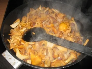 Pfifferlings-Blätterteig-Lasagne - Rezept - Bild Nr. 3