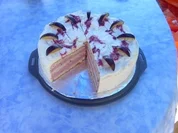 Zwetschgen - Heidelbeer - Torte - Rezept