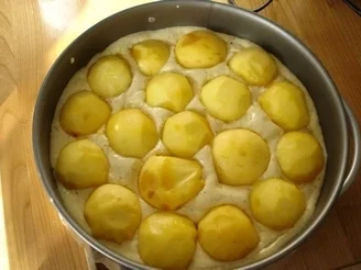 Rezept: Was mach ich mit den Pfirsichen???? Bild Nr. 2 Was mach ich mit den Pfirsichen???? - Rezept - Bild Nr. 2