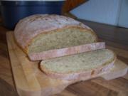Hüttenkäse-Brot (auch für BBA) - Rezept