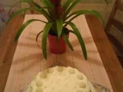 Lichie-Kokostorte - Rezept