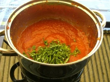 Ein ketchupähnliches Tomatensößchen - Rezept - Bild Nr. 5