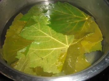 Rezept: Rajmes - Sarma - Gefüllte Weinblätter mazedonische Art Bild Nr. 3 Rajmes - Sarma - Gefüllte Weinblätter mazedonische Art - Rezept - Bild Nr. 3