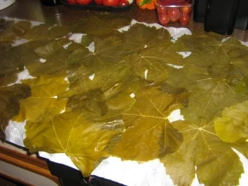 Rezept: Rajmes - Sarma - Gefüllte Weinblätter mazedonische Art Bild Nr. 4 Rajmes - Sarma - Gefüllte Weinblätter mazedonische Art - Rezept - Bild Nr. 4