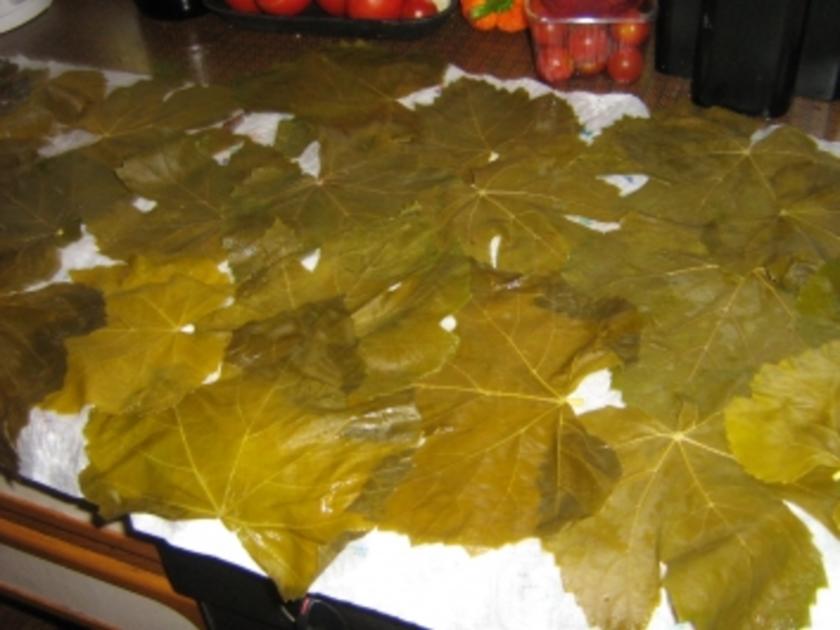Rajmes Sarma Gefüllte Weinblätter mazedonische Art - einfach - 84 kcal/100g