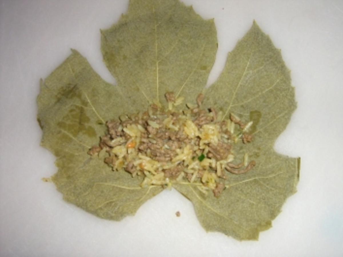 Rajmes Sarma Gefüllte Weinblätter mazedonische Art - einfach - 84 kcal/100g
