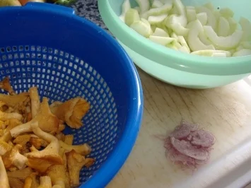 Rezept: Schmorgurken-Pfifferlingsragout Bild Nr. 2 Schmorgurken-Pfifferlingsragout - Rezept - Bild Nr. 2