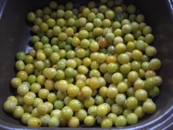 Rezept: Kuchen Pfälzer-Mirabellenkuchen Bild Nr. 2 Kuchen Pfälzer-Mirabellenkuchen - Rezept - Bild Nr. 2