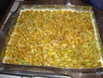 Rezept: Kuchen Pfälzer-Mirabellenkuchen Bild Nr. 7 Kuchen Pfälzer-Mirabellenkuchen - Rezept - Bild Nr. 7