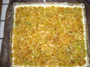 Rezept: Kuchen Pfälzer-Mirabellenkuchen Bild Nr. 8 Kuchen Pfälzer-Mirabellenkuchen - Rezept - Bild Nr. 8