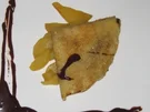 Crêpes mit flambierten Birnenspalten - Rezept