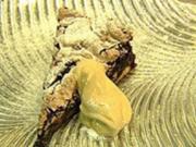 Dattel-Schokoladenkuchen mit Mascarponecreme - Rezept