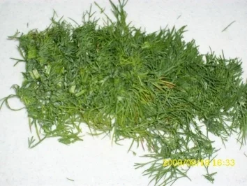 Räucherlachs mit Gemüse in Sahnesoße und Pasta - Rezept - Bild Nr. 4