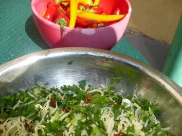 Quesadillas mit Sour Cream - Dip - Rezept - Bild Nr. 3