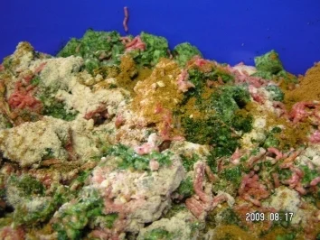 Maultaschen ca. 180 Stück!!!!!!!!!!!!!!!!!!!!!!!!!!!!!! - Rezept