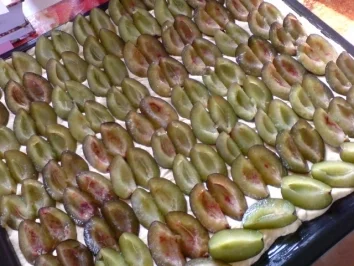 Pflaumenkuchen - Rezept - Bild Nr. 11