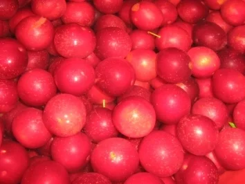 Pflaumen Marmelade - ohne Gelierzucker - Rezept - Bild Nr. 2