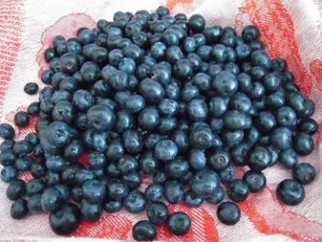 Blaubeerkuchen - Rezept - Bild Nr. 4