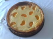 Quarkkuchen mit Mandarinen - Rezept