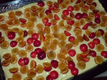 Kuchen - Resteverwertung Mirabellen - Rezept - Bild Nr. 5