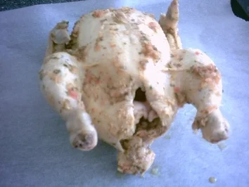 HUHN - Gewürzhuhn - Rezept - Bild Nr. 4