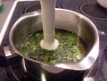 Basilikum - Sorbet - Rezept - Bild Nr. 3