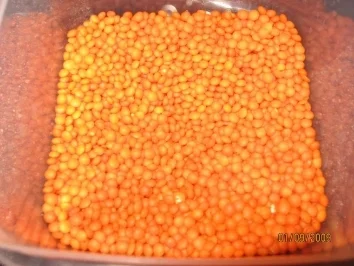 Vegetarische Linsen-Frikadellen  Mercimek köftesi - Rezept - Bild Nr. 2