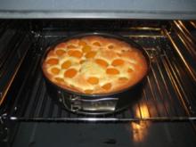 Aprikosen-Kuchen - Rezept