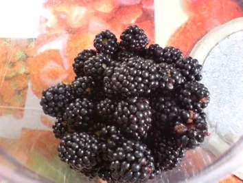 Brombeerlikör - Rezept - Bild Nr. 4