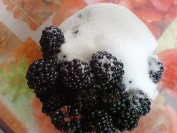 Brombeerlikör - Rezept - Bild Nr. 5