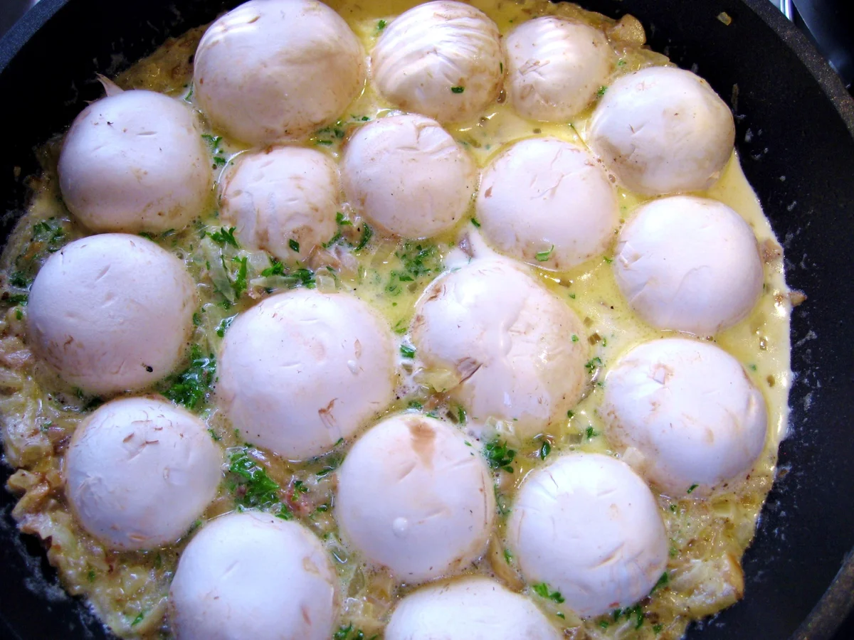 Rezept: Champignon-Schnitzel ... Bild Nr. 10 Champignon-Schnitzel ... - Rezept - Bild Nr. 10