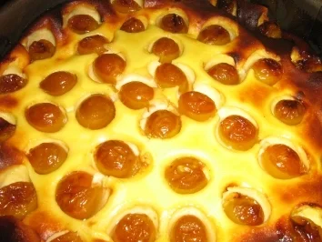 Käse - Mirabellen - Kuchen - Rezept