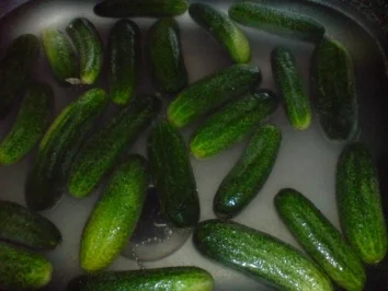 Rezept: Gewürzgurken Bild Nr. 2 Gewürzgurken - Rezept - Bild Nr. 2