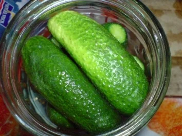 Rezept: Gewürzgurken Bild Nr. 10 Gewürzgurken - Rezept - Bild Nr. 10