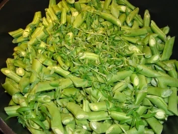 Bohnen mit Champignons - Rezept - Bild Nr. 3