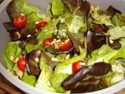 Grüner Salat mit Zitrussauce - Rezept