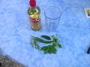 Chilly - Öl - Rezept