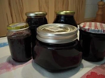 Blaubeer-Johannisbeer-Granatapfel-Konfitüre - Rezept