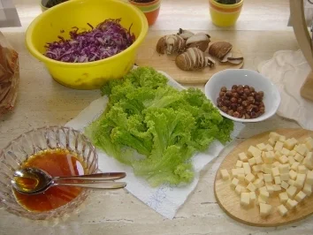 Rezept: Rotkohl-Käse-Salat Bild Nr. 4 Rotkohl-Käse-Salat - Rezept - Bild Nr. 4