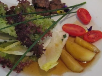 Sommerliche Salatvariation an Entenleber mit karamell. Äpfeln und Honig-Muskatsoße - Rezept