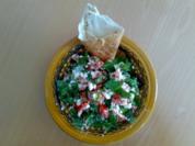 ** Salate ** Schafskäse - Tomaten - Salat mit frischer Minze - Rezept