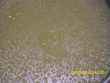 Suppe:  Hühnersuppe - Rezept - Bild Nr. 2