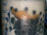 Melonen-Heidelbeer-Eis - Rezept - Bild Nr. 3