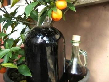 Getränke: Holunderlikör - Rezept