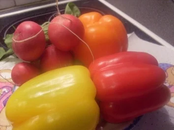 Paprikaschoten gefüllt mit Thunfischcreme - Rezept - Bild Nr. 2