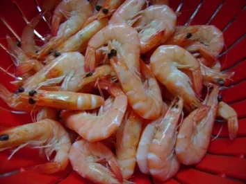 Pasta: Spaghettini mit  Vongole und Garnelen - Rezept - Bild Nr. 4